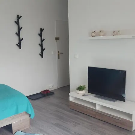 Mit Wlan Zentral Gelegen Апартаменты Лейпциг